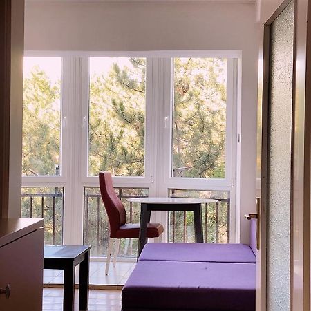 بريشتاين Passion Apartment المظهر الخارجي الصورة