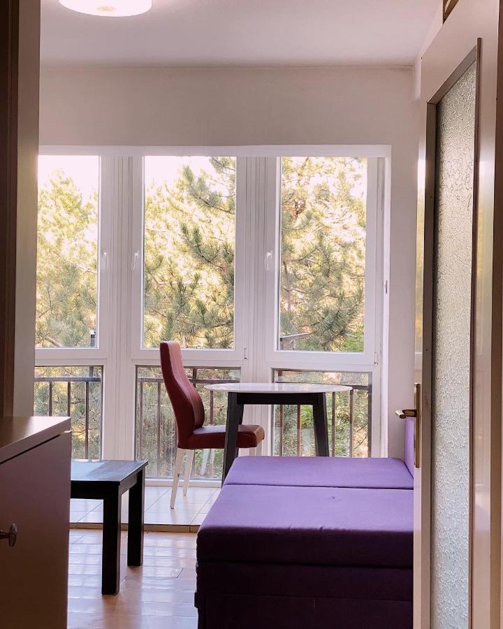 بريشتاين Passion Apartment المظهر الخارجي الصورة