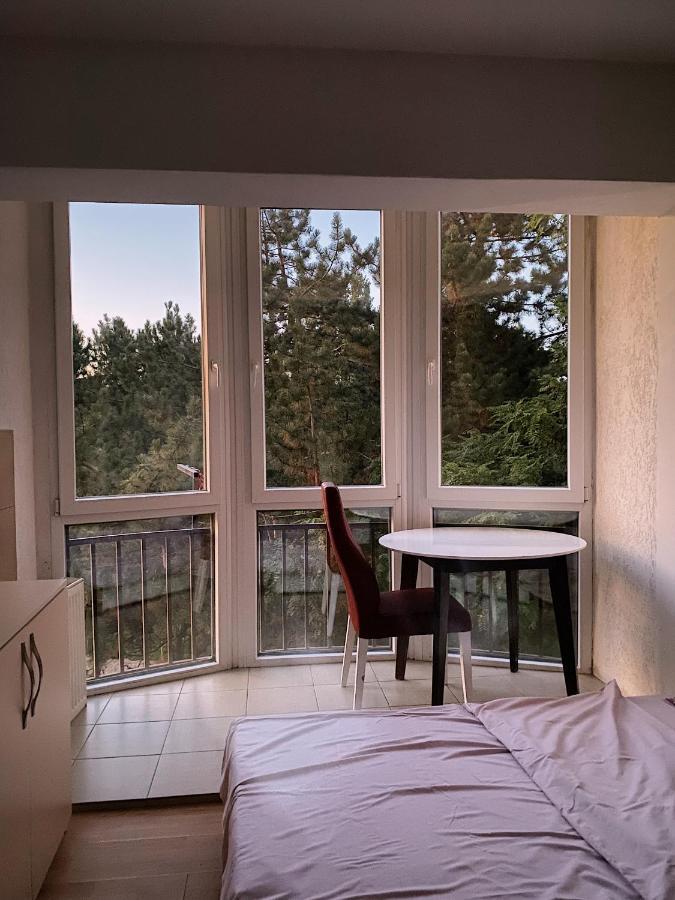 بريشتاين Passion Apartment المظهر الخارجي الصورة
